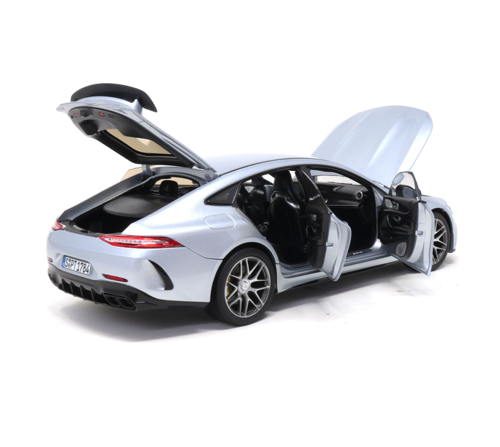 Модель автомобіля Mercedes-Benz-AMG GT 63 S 4MATIC+ (X290) Silver