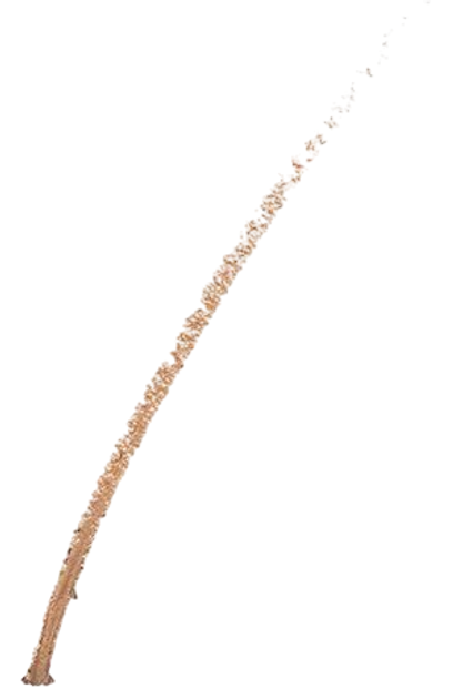 Олівець для брів Estée Lauder Brow Now Defining Pencil Light Brunette (887167189959) - зображення 3
