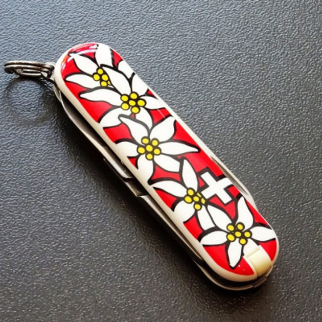 Нож Victorinox Classic SD Edelweiss (0.6223.840) - изображение 2