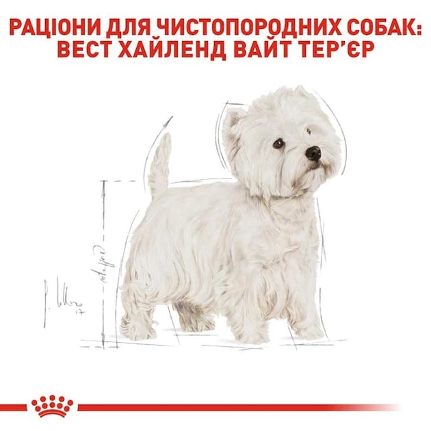 Сухой корм Royal Canin West Highland White Terrier Adult для собак породы вест хайленд вайт терьер 6 кг - Фото 2 Сухой корм Royal Canin West Highland White Terrier Adult для собак породы вест хайленд вайт терьер 6 кг - изображение 2