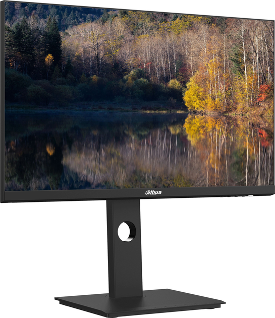 Monitor 23.8" Dahua LM24-P301A (6923172579744) - obraz 2