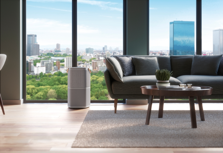 Очиститель воздуха Electrolux (PA91-404GY) - изображение 3