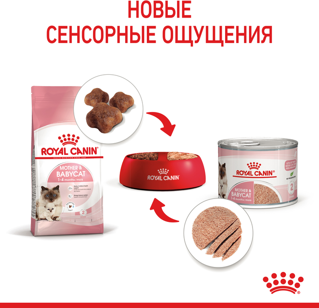 Вологий корм для вагітної/годуючої кішки та кошенят Royal Canin Mother & Babycat Cans 195 г (9003579311660) (4098002) - зображення 6