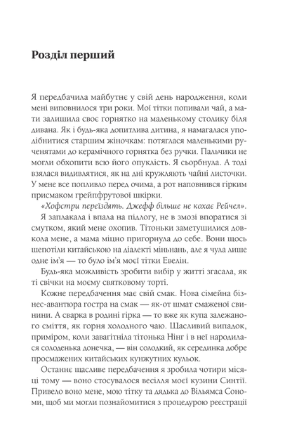 Книга Магічна чайна крамничка Ванесси Ю в Парижі. Автор - Лім Р. (9789669825230) - изображение 2