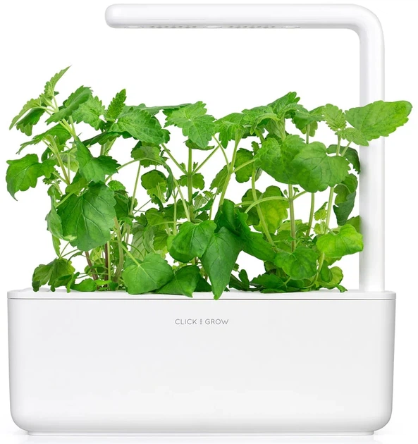 Wkład wymienny Click&Grow Kocimiętka 3 kapsułki (4742793007465) - obraz 4