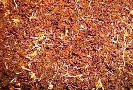 Субстрат для террариума Sera Reptil Coco Soil 8 л 44006 - изображение 2