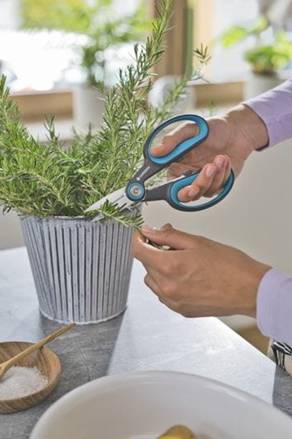 Ножиці для зелені Gardena HerbCut 12214-20 (4066407003200) - зображення 6