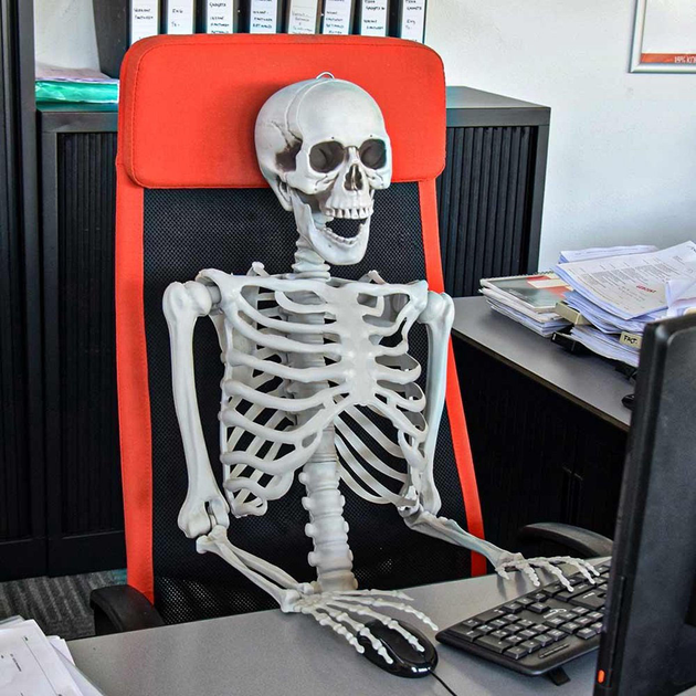 Figurka Mikamax Life Size Skeleton 170 cm (8719481357559) - obraz 8