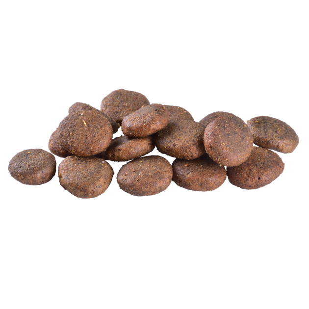 Сухий корм Brit Care Dog Grain-free Senior & Light для старіючих собак, беззерновий з лососем, 1 кг - Фото 2 Сухий корм Brit Care Dog Grain-free Senior & Light для старіючих собак, беззерновий з лососем, 1 кг - зображення 2