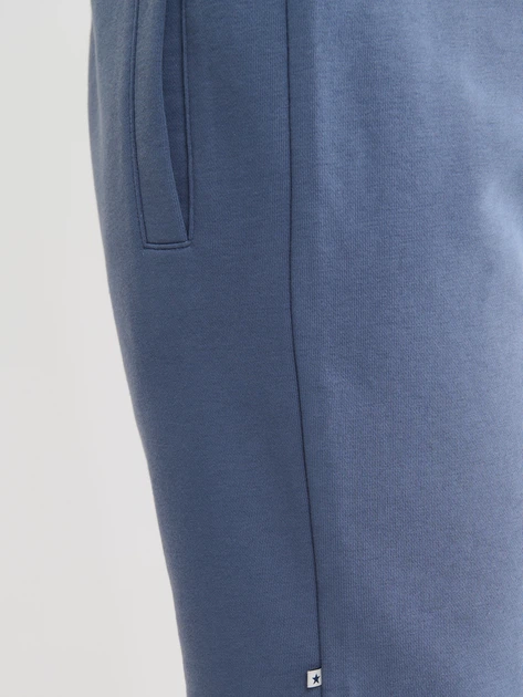 Шорти бавовняні короткі чоловічі Big Star Marque L Сині (5900714763350) - зображення 6