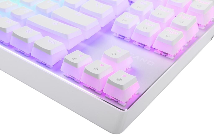 Клавіатура дротова Modecom Volcano Lanparty Pudding Edition Outemu Blue USB White (K-MC-LANPARTY-U-RGB-BLUE-200-PUDD) - зображення 3