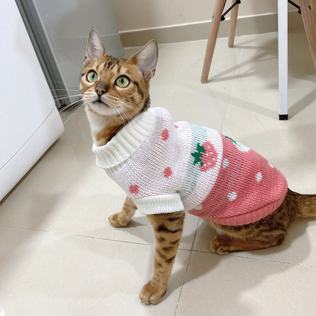 В'язаний акриловий светр для собак Pet Style "Рожева полуниця" 2XL - зображення 4