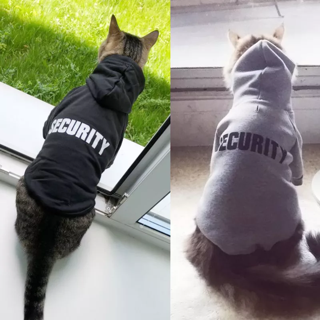 Худи для котов и кошек Pet Style "Security" Черный L - изображение 8
