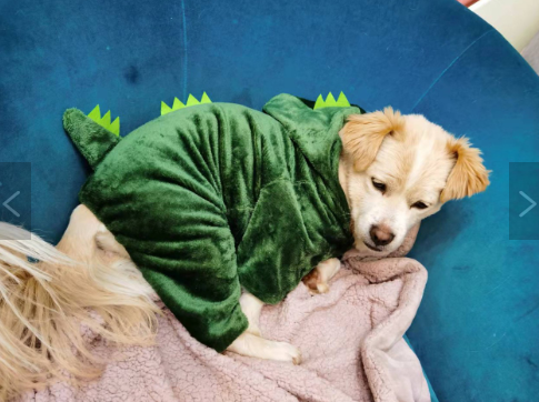Костюм комбінезон для собак Pet Style "Діно" Зелений 2XL - зображення 3
