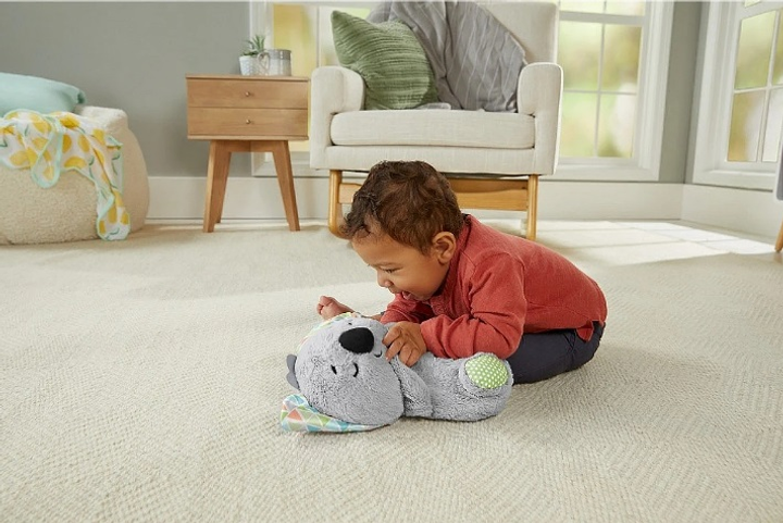 Zabawka do zasypiania Fisher-Price Koala (0887961911305) - obraz 5