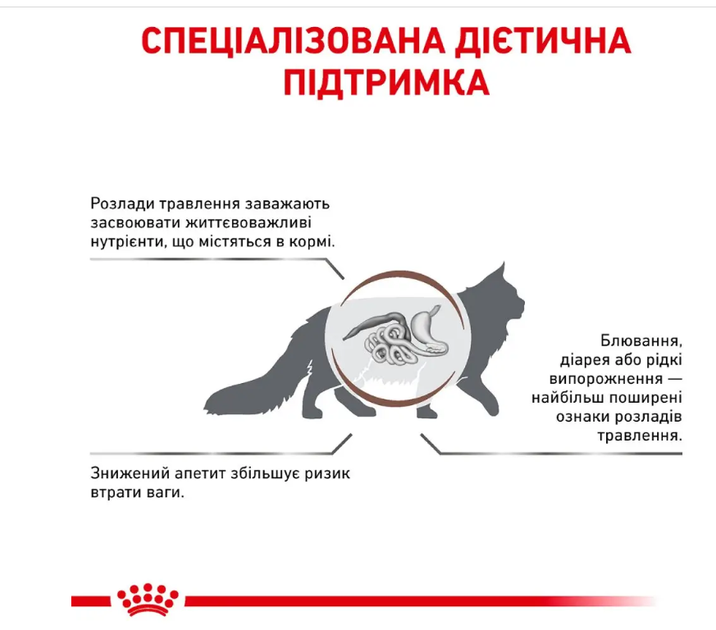 Сухой корм для котов Royal Canin Gastro Intestinal 400 г 39050041 - изображение 2