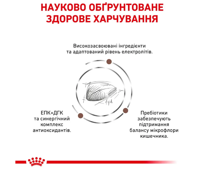 Сухой корм для котов Royal Canin Gastro Intestinal 400 г 39050041 - изображение 3