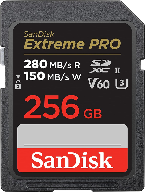 Карта памяти SD 256Gb SanDisk Extreme PRO (SDSDXEP-256G-GN4IN) - изображение 1