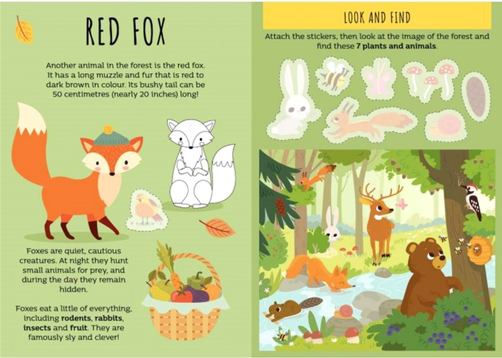 Настільна гра Sassi Junior Card Games The Seven Families The Woods (версія англійська) (9788830313026) - зображення 4