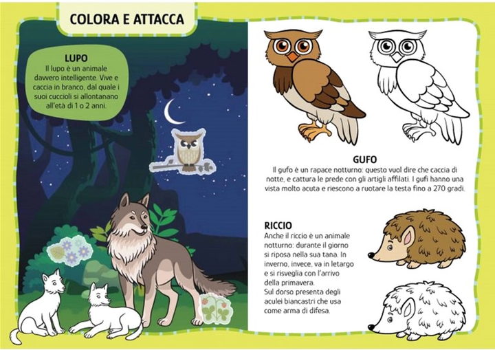 My First Arts & Crafts Activities Animals - I.Trevisan, G. Meneguzzo, M. Gaule (wersja włoska) (9788830310599) - obraz 3