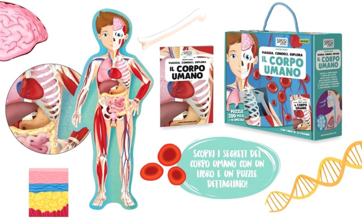 Sassi Travel Know Explore The Human Body - Matthew Gaule (wersja włoska) (9788868607449) - obraz 3