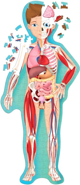 Sassi Travel Know Explore The Human Body - Matthew Gaule (wersja włoska) (9788868607449) - obraz 4