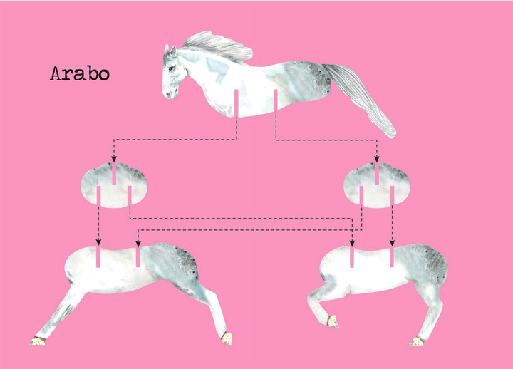 3D Пазл Nuinui Build Horses 17 x 25 см (9782889354290) - зображення 4