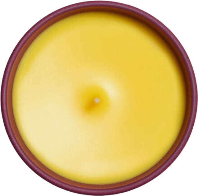 Ароматична свічка Sisley Unisex Rose Scented Candle 165 г (3473311972026) - зображення 2