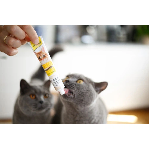 Паста для котів GimCat DUO PASTE Multi-vitamin 12 vitamins with cheese 12 вітамінів та сир, 50 г - зображення 4