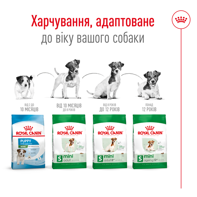 Сухой корм для собак малых пород Royal Canin Mini Adult с, 2 кг - изображение 4