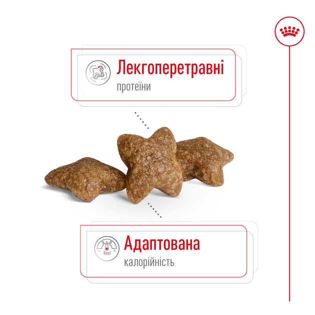 Сухий корм для собак малих порід Royal Canin Mini Adult, 1 кг - изображение 5