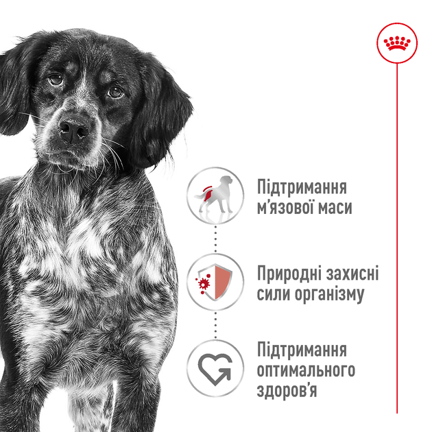 Сухой корм для собак средних пород Royal Canin Medium Adult, 15 кг - изображение 6
