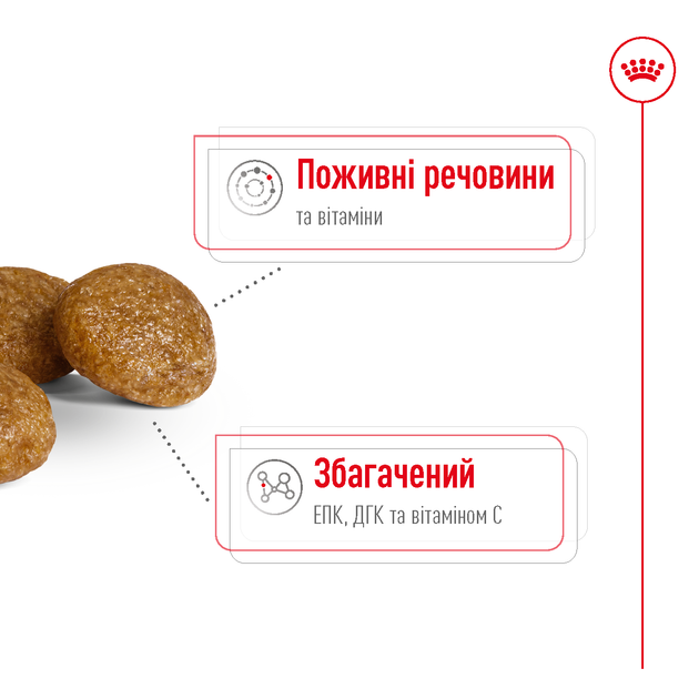 Сухой корм для собак Royal Canin X-Small Adult для миниатюрных пород, 3 кг - изображение 5