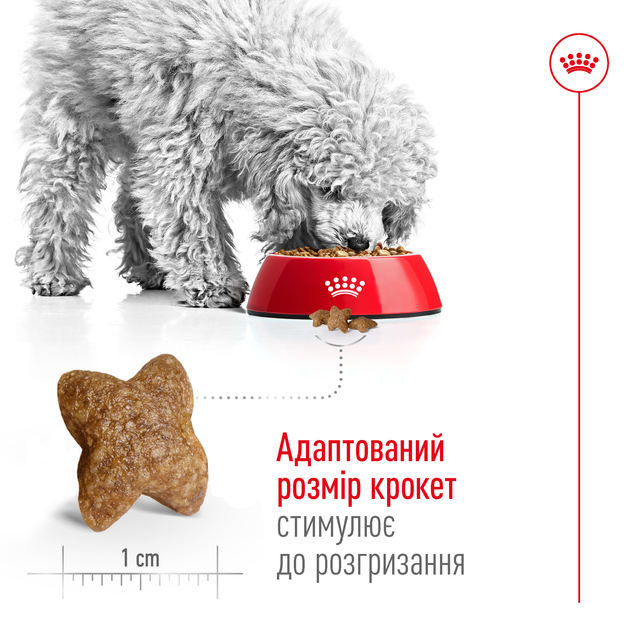 Сухой корм для собак малых пород Royal Canin Mini Adult с, 2 кг - изображение 6