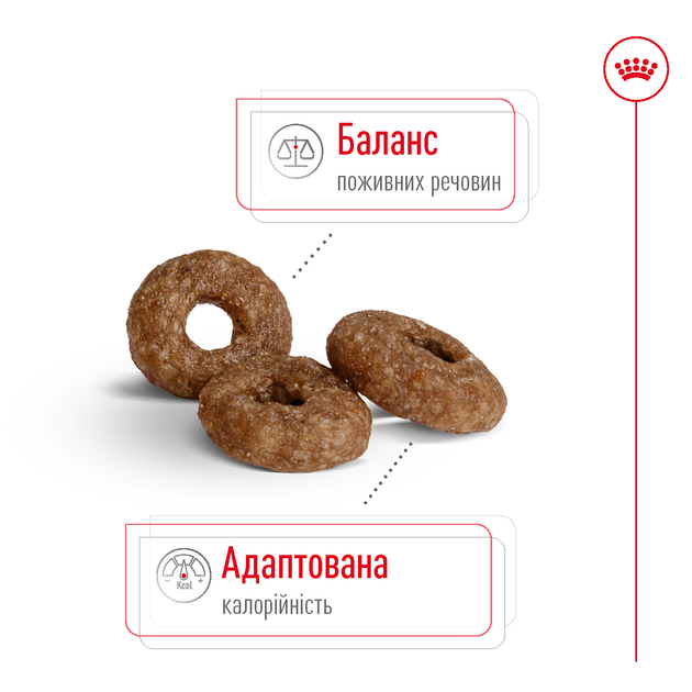 Сухой корм для собак малых пород старше 12 лет Royal Canin Mini Ageing 12+ , 800 г - Фото 4 Сухой корм для собак малых пород старше 12 лет Royal Canin Mini Ageing 12+ , 800 г - изображение 4