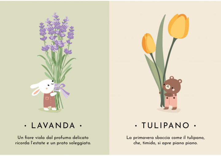 Karty edukacyjne Sassi Junior My First Cards Nature (9788830314122) - obraz 3