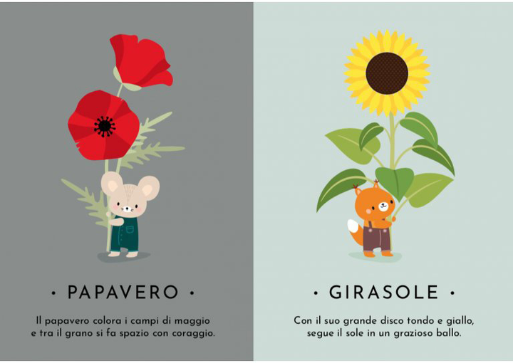 Karty edukacyjne Sassi Junior My First Cards Nature (9788830314122) - obraz 4