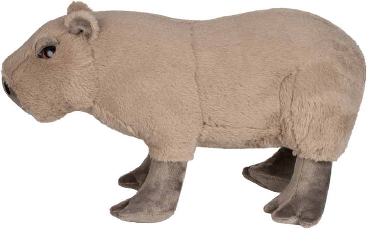 Подарочная игрушка Inka Toys Капибара 14х34х22 см (4820266221461) - Фото 3 Подарочная игрушка Inka Toys Капибара 14х34х22 см (4820266221461) - изображение 3