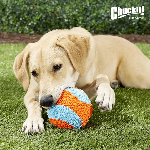 Zabawka dla psów Chuckit! Indoor Ball Dog Toy (CHUC213201) - obraz 3