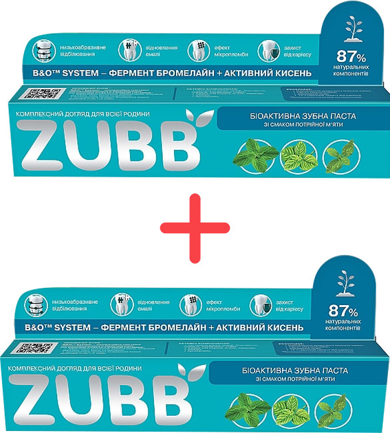 Упаковка зубных паст ZUBB со вкусом тройной мяты 90 г х 2 шт (4820206210067) - изображение 1