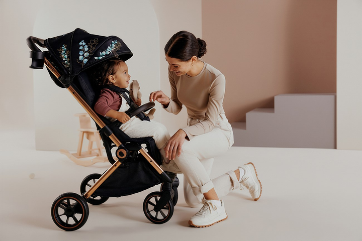 Прогулянкова коляска Lionelo Cloe Golden Moments (5903771706940) - зображення 7