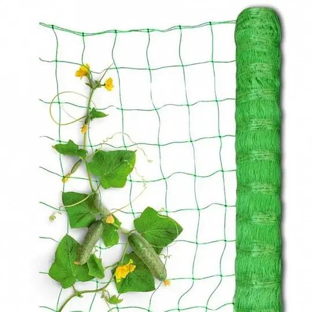 Сетка 1.7м х 5 м Огуречная Agreen шпалерная для подвязки огурцов – фото ...