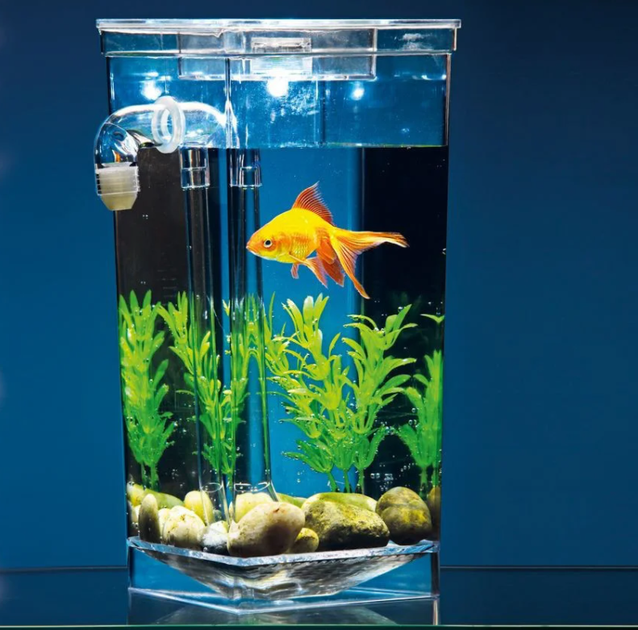Аквариум для рыбок самоочищающийся My Fun Fish с LED подсветкой 2 литра - Фото 2 Аквариум для рыбок самоочищающийся My Fun Fish с LED подсветкой 2 литра - изображение 2