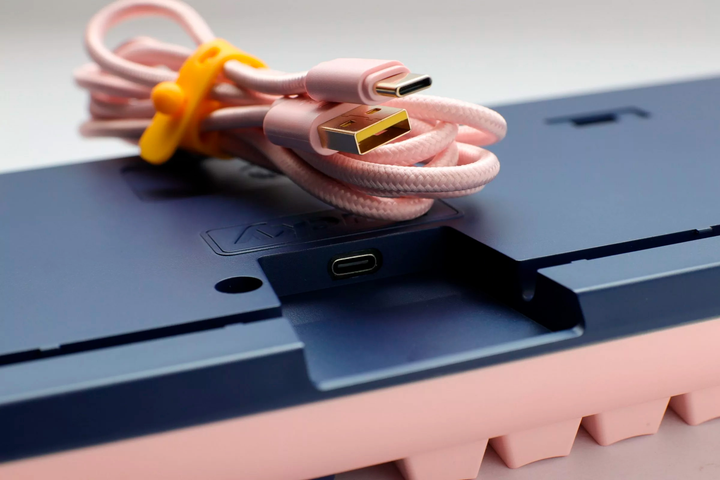 Klawiatura przewodowa Ducky One 3 Fuji TKL MX Silent Red USB Pink-Blue (DKON2187-SUSPDFUPBBC1) - obraz 5