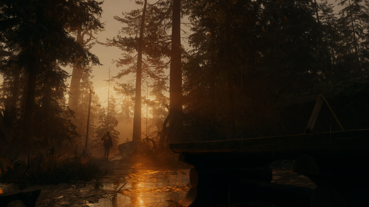 Gra XSX Alan Wake 2 Deluxe Edition (Blu-ray płyta) (5056635609489) - obraz 14