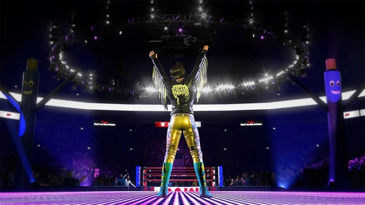 Игра Xbox One WWE 2K20 (Blu-ray диск) (5026555361262) - изображение 11