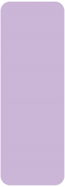 Naklejki termiczne Niimbot 14 x 40 mm 160 szt. Purple (6975746635547) - obraz 1