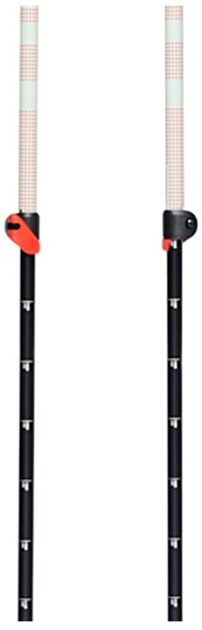 Kije trekkingowe Black Diamond Expedition 2 Ski Poles Czarny / Czerwony 155 cm (0793661508618) - obraz 4
