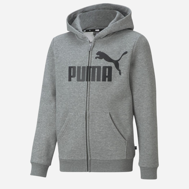 Dziecięca bluza rozpinana dla chłopca Puma Ess Big Logo Fz Hoodie Tr B 586968-03 110 cm Szara (4063697293632) - obraz 1