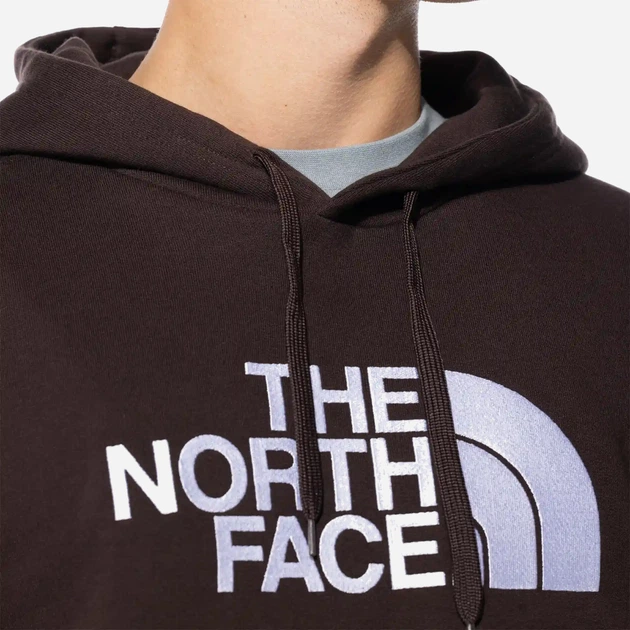 Худі оверсайз чоловіче The North Face Drew Peak Hoodie NF00AHJYI0I L Корчневе (196573595583) - зображення 3